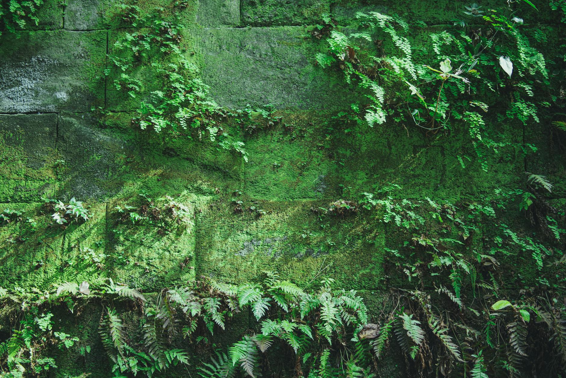 Come eliminare l'umidità in casa: soluzioni che funzionano davvero